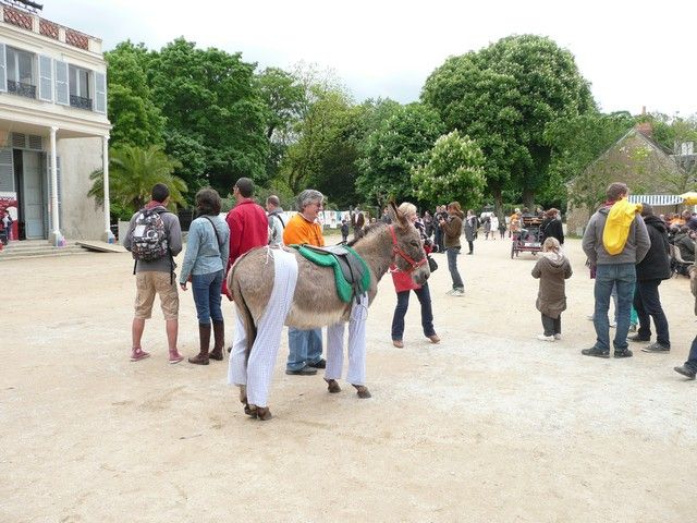 rodho 2013 (84).jpg
